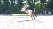 Ponette PFS C de 6 ans