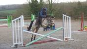 Ponette PFS C de 6 ans
