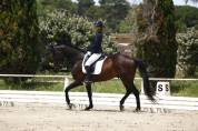 Cheval polyvalent et prometteur.