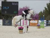 Poney &agrave; louer 