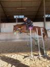 A VENDRE  Ponette C  Imahee des Cosses 