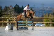 A VENDRE  Ponette C  Imahee des Cosses 