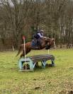 A VENDRE  Ponette C  Imahee des Cosses 