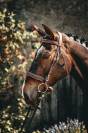Ponette PFS 5 ans