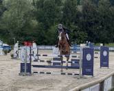 Jackpot de Sisse hongre 7 ans
