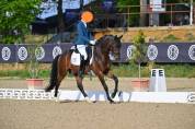 Poulain D fils de Kracker Le courtal