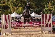 Ponette de CSO 8 ans &agrave; vendre