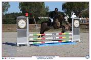 Jument Welsh D class&eacute;e CCE P2/P1 et CSO
