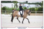 Jument Welsh D class&eacute;e CCE P2/P1 et CSO