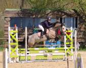 Jument Welsh D class&eacute;e CCE P2/P1 et CSO
