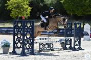 Jument Welsh D class&eacute;e CCE P2/P1 et CSO