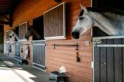 PROPRIETE EQUESTRE D&rsquo;EXCEPTION &ndash; 22 HA CLES EN MAINS