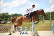 Mare Selle Fran&ccedil;ais For sale 2019 Liver chestnut