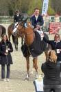 Mare Selle Fran&ccedil;ais For sale 2019 Liver chestnut