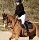 Ponette pfs 