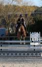 Ponette pfs 