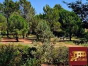 Propri&eacute;t&eacute; &eacute;questre de caract&egrave;re  &agrave; Roquebrune sur Argens . Rare &agrave; la vente !