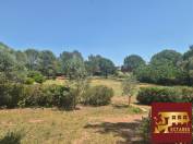 Propri&eacute;t&eacute; &eacute;questre de caract&egrave;re  &agrave; Roquebrune sur Argens . Rare &agrave; la vente !