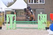 Izra des Douits hongre de 8ans pour CSO Amateur 1