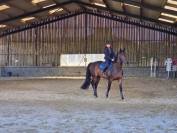 Izra des Douits hongre de 8ans pour CSO Amateur 1