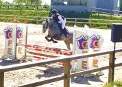 Pfs femelle 4 ans 