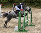 Pfs femelle 4 ans 