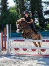 Poney &agrave; louer