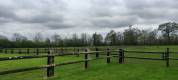 Pension pr&eacute; chevaux-11 ha- Entre Saint-L&ocirc; et Bayeux