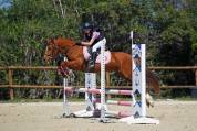 Lovlystar - Ponette D 