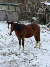 Paint-hors plein papier 