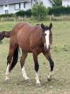 Paint-hors plein papier 
