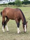 Paint-hors plein papier 