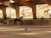 Equestrian property  tarn