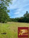 Equestrian Bed and Breakfast  Var