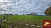 Equestrian property  Maine-et-Loire