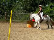 Pension chevaux