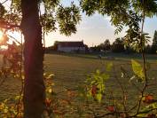Maison sur 5 hectares avec d&eacute;pendances