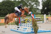 ?✨ JEUNE HONGRE &Agrave; VENDRE &ndash; Magnum du Joalie &ndash; 4 ans ✨