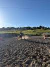 Pension compl&egrave;te chevaux &ndash; LD Buddy Ranch