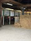 Pension compl&egrave;te chevaux &ndash; LD Buddy Ranch