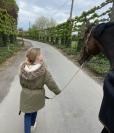 Belle jument de saut d'obstacles ou jument de loisirs