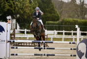 Belle jument de saut d'obstacles ou jument de loisirs