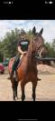 Cheval passion petit budget