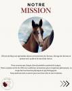 &Eacute;curie de reconversion | &Eacute;levage | Travail du cheval