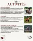 &Eacute;curie de reconversion | &Eacute;levage | Travail du cheval