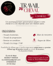 &Eacute;curie de reconversion | &Eacute;levage | Travail du cheval