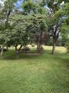 Other agricultural property  Lot-et-Garonne