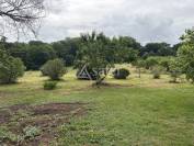 Other agricultural property  Lot-et-Garonne
