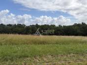 Other agricultural property  Lot-et-Garonne