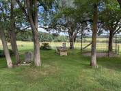 Other agricultural property  Lot-et-Garonne